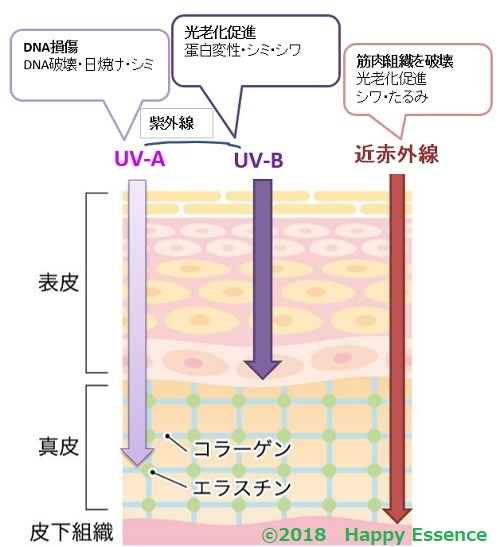 光の肌への影響